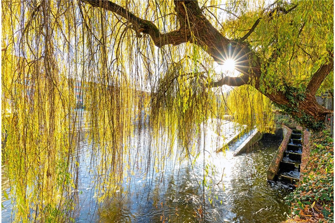 Viele Sonnenstunden prägten das Wetter im ganzen Jahr 2020. Foto: A. Becher