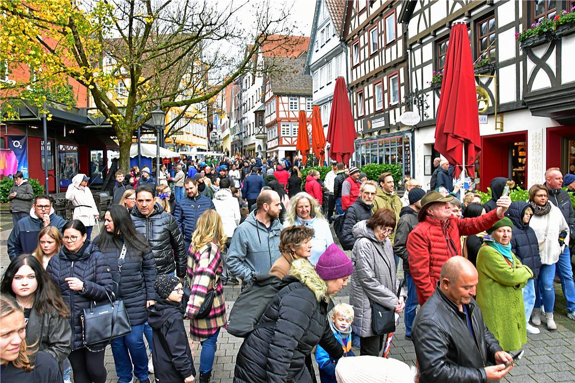 Viele trotzen dem wechselhaften Wetter. Backnanger Gänsemarkt 2025.