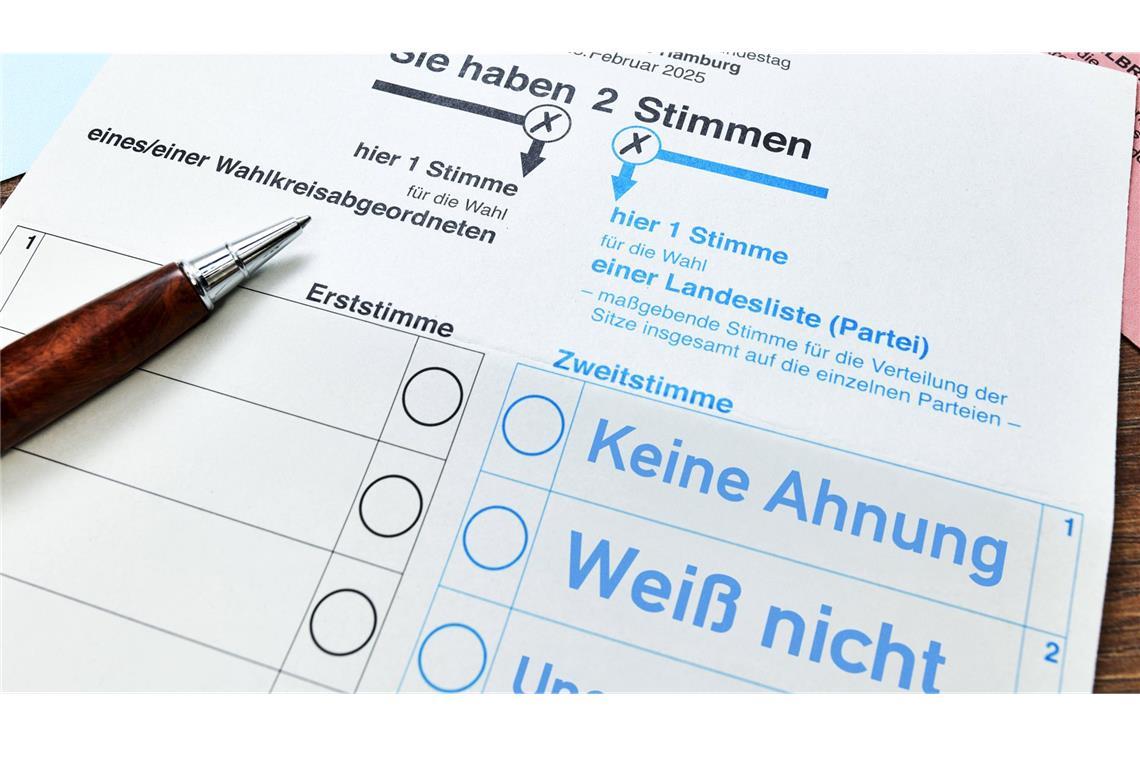 So sieht der Stimmzettel in BW aus Viele Wähler sind vor dem 23. Februar noch unentschlossen.