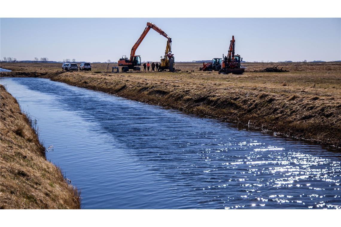 UN: Wir müssen an der Wurzel von Problemen ansetzen Viele Wasserläufe werden inzwischen wieder renaturiert - unter anderem, um Überschwemmungen vorzubeugen. (Archivbild)
