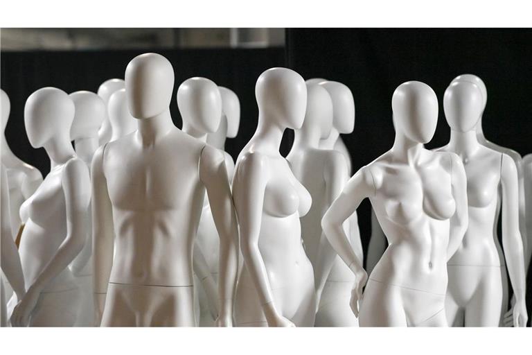 Forschungslücke Frau: Warum Standards nicht für alle passen Viele wissenschaftliche sowie medizinische Standards basieren auf dem männlichen Körper.