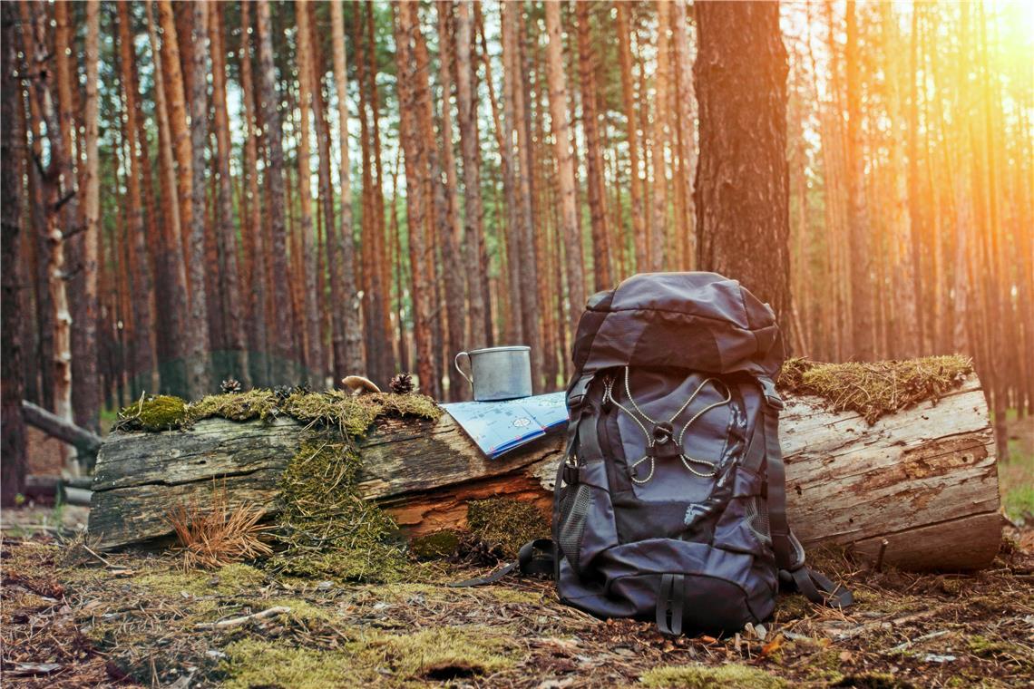 Viele wünschen sich, tief in den Wald einzutauchen und einmal eine Nacht dort zu verbringen. Das soll in rund einem Jahr auch im Naturpark Schwäbisch-Fränkischer Wald mit den Trekkingcamps möglich sein. Foto: Adobe Stock/Alex