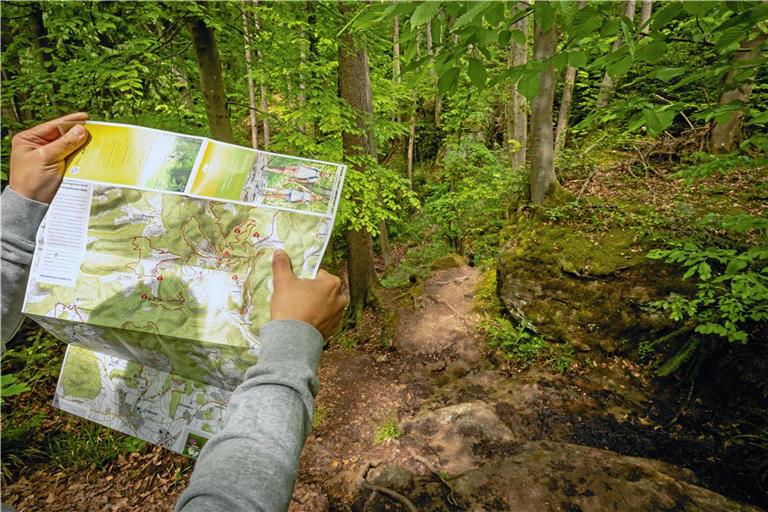 Vielen ist der Schwäbische Wald vor allem durch seine vielfältigen Wanderwege bekannt. Er hat aber auch noch einiges mehr zu bieten. Archivfoto: Alexander Becher