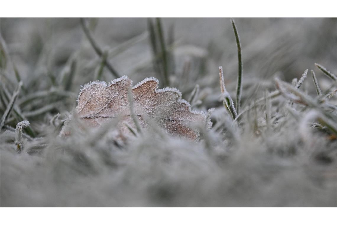 Vielerorts bleibt es schneefrei an Weihnachten - aber es kann Reif geben.