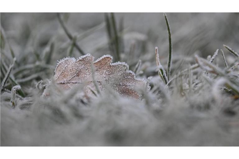 Vielerorts bleibt es schneefrei an Weihnachten - aber es kann Reif geben.