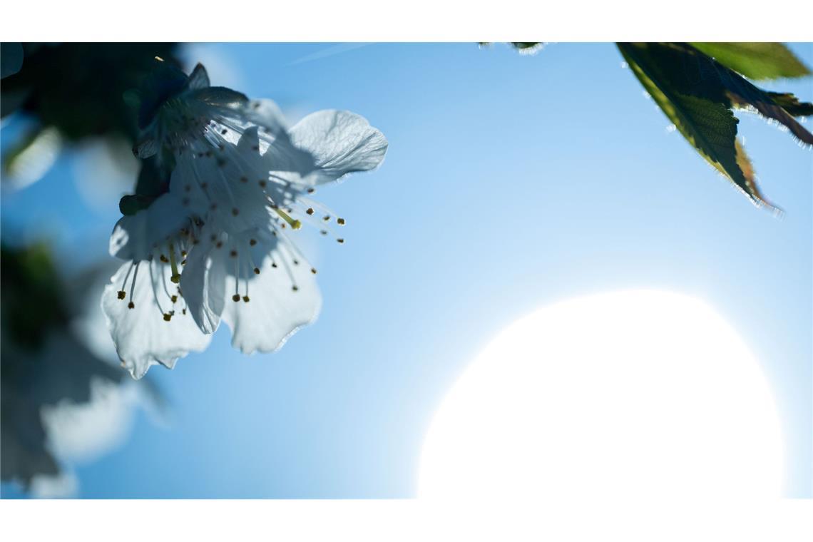 Sonne, Wolken und Schauer wechseln sich Ostermontag ab