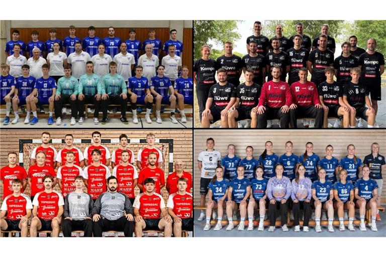 Vier Teams, vier unterschiedliche Ausgangslagen: Der TV Plochingen, der TSV Wolfschlugen, die SG Hegensberg/Liebersbronn und die Frauen des TSV Denkendorf starten in die neue Oberliga-Saison.