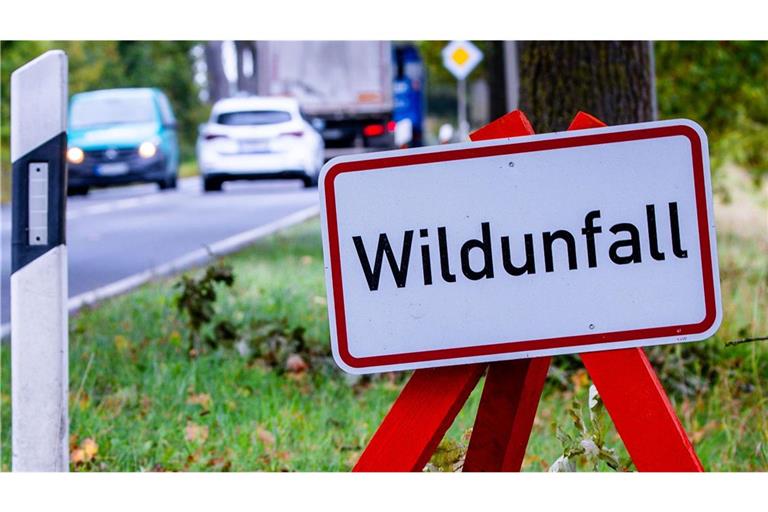 Vier Tiere kamen ums Leben (Symbolbild).