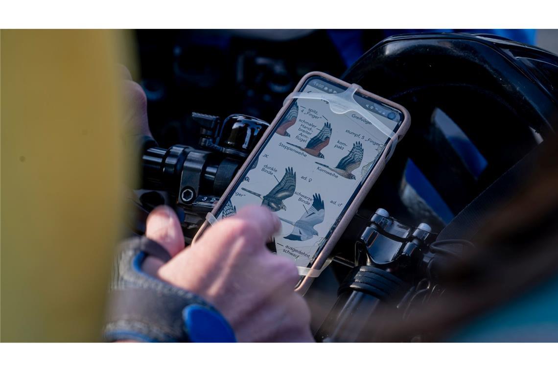 Vogel-Bestimmung via Smartphone.