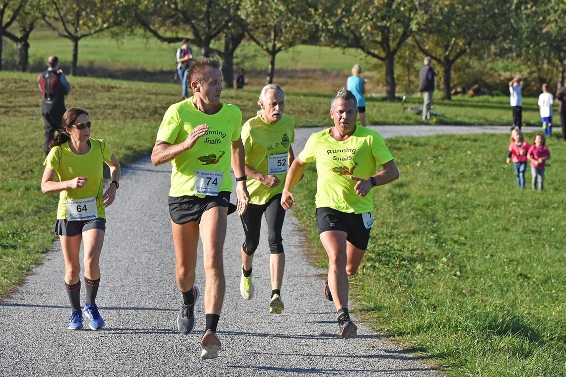 Volkslauf in Aspach, Foto T.Sellmaier