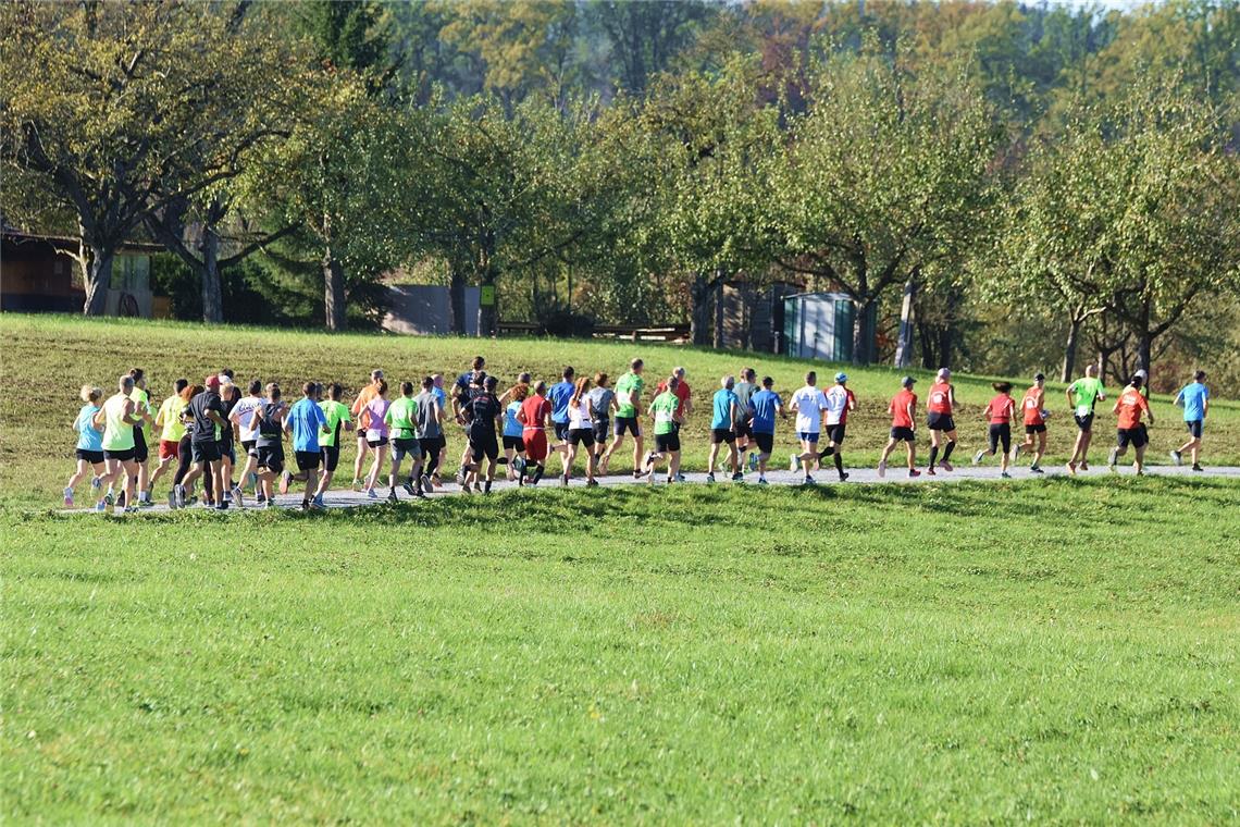 Volkslauf in Aspach, Foto T.Sellmaier