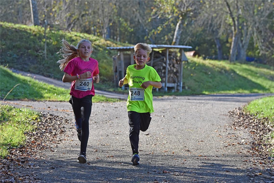 Volkslauf in Aspach, Foto T.Sellmaier