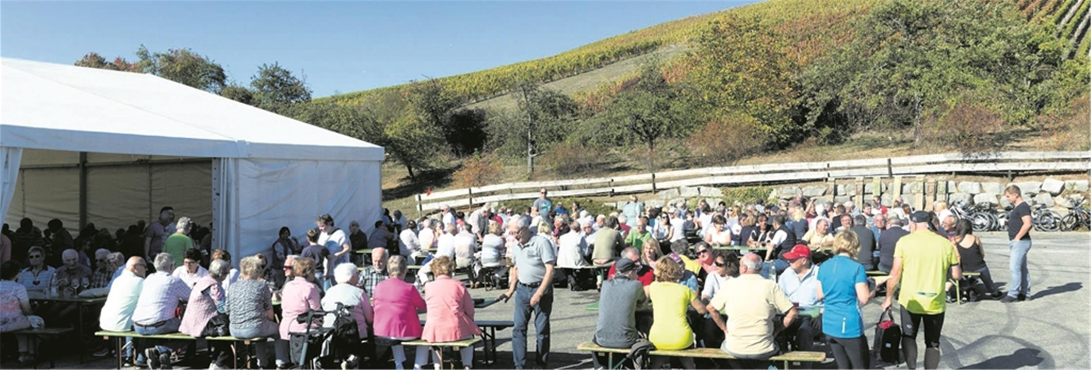 Voll besetzt waren Tische und Bänke vor, neben und auch in der historischen Kelter in Kleinaspach um die Mittagszeit. Viele Besucher tankten noch einmal die sommerlichen Sonnenstrahlen und genossen den Wein. Foto: J. Fiedler