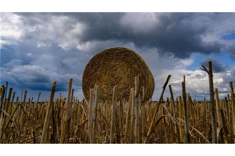 Volle Rolle: Eine Strohrolle liegt unter dunklen Wolken auf einem Feld im Landkreis Oder-Spree in Brandenburg.