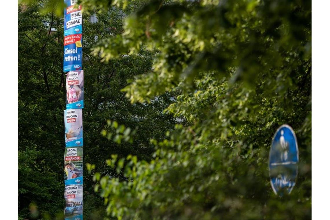 Ost-AfD im Steigflug - und viele Westdeutsche am Schalthebel Voller Einsatz im AfD-Kernland: Wahlplakate der Rechtspopulisten an einem Laternenpfahl. Foto: Robert Michael