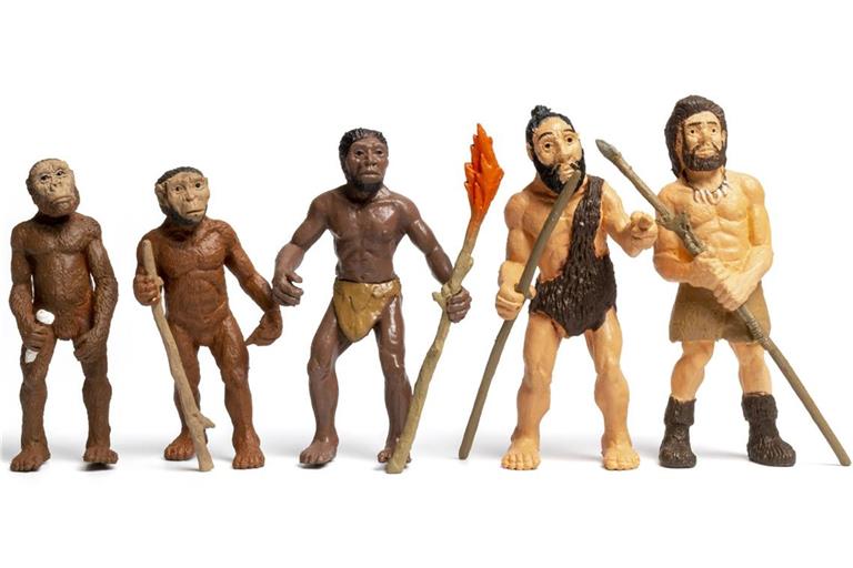 Vom Affen zum modernen Menschen: Die Evolution des Homo sapiens verlief weder bruchlos noch geradlinig.