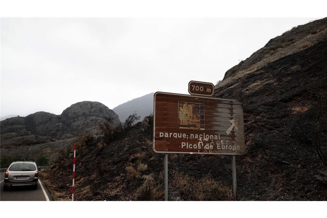 Vom Feuer verbranntes Gebiet in der Umgebung der Picos de Europa.