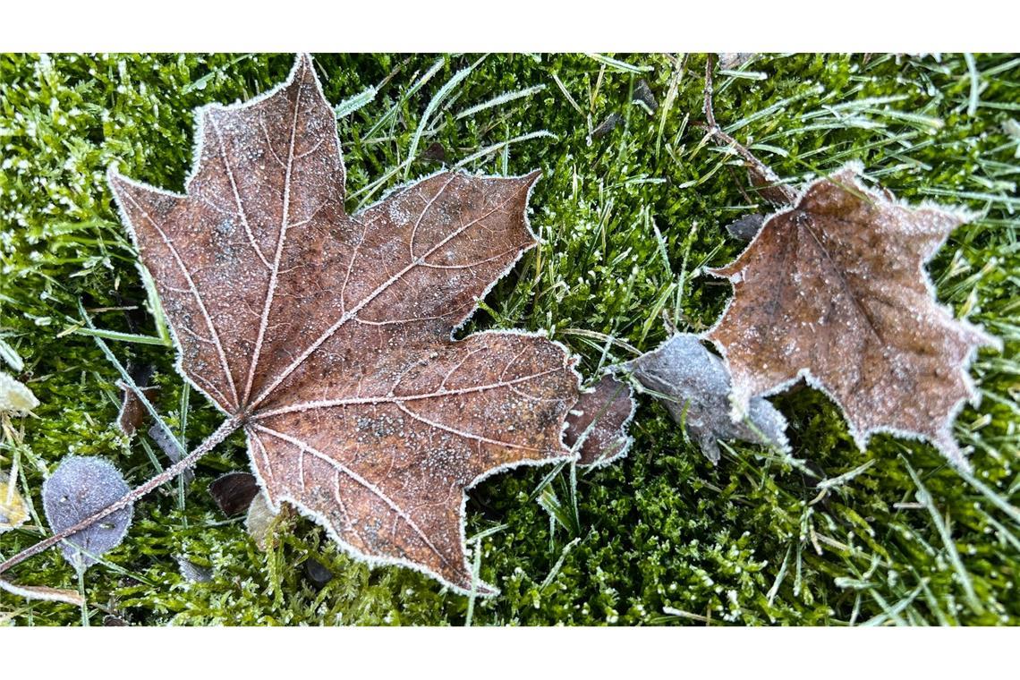 Vom Kälterekord ist das Wetter in Deutschland noch weit entfernt.