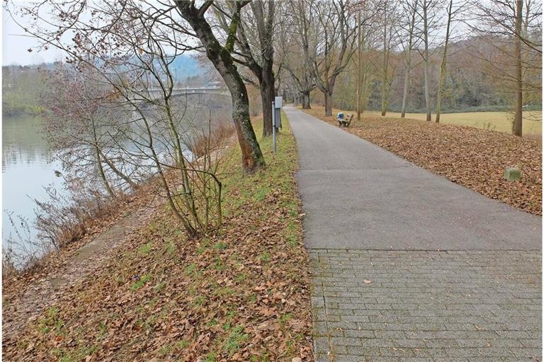 Vom Neckar soll es  eine Verbindung in die Auwiesen geben.