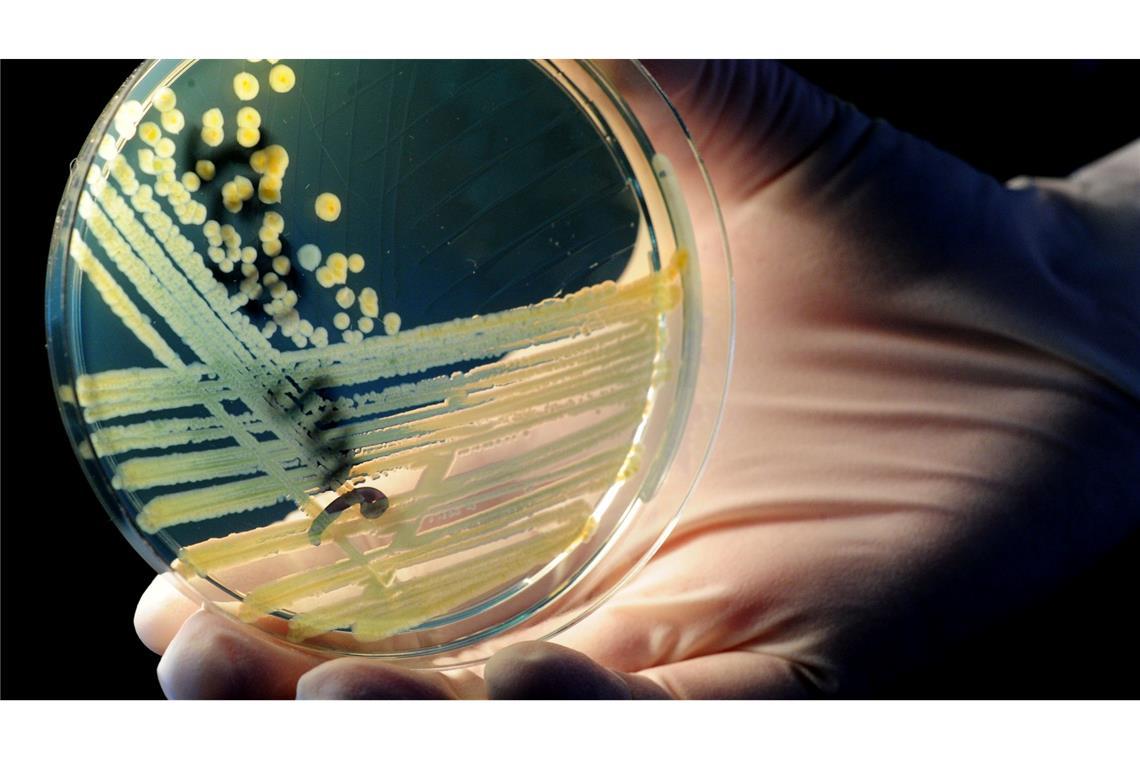 Vom Verzehr eines verunreinigten Lebensmittels bis zum Ausbruch der Erkrankung dauert es im Durchschnitt drei bis vier Tage (Archivbild)