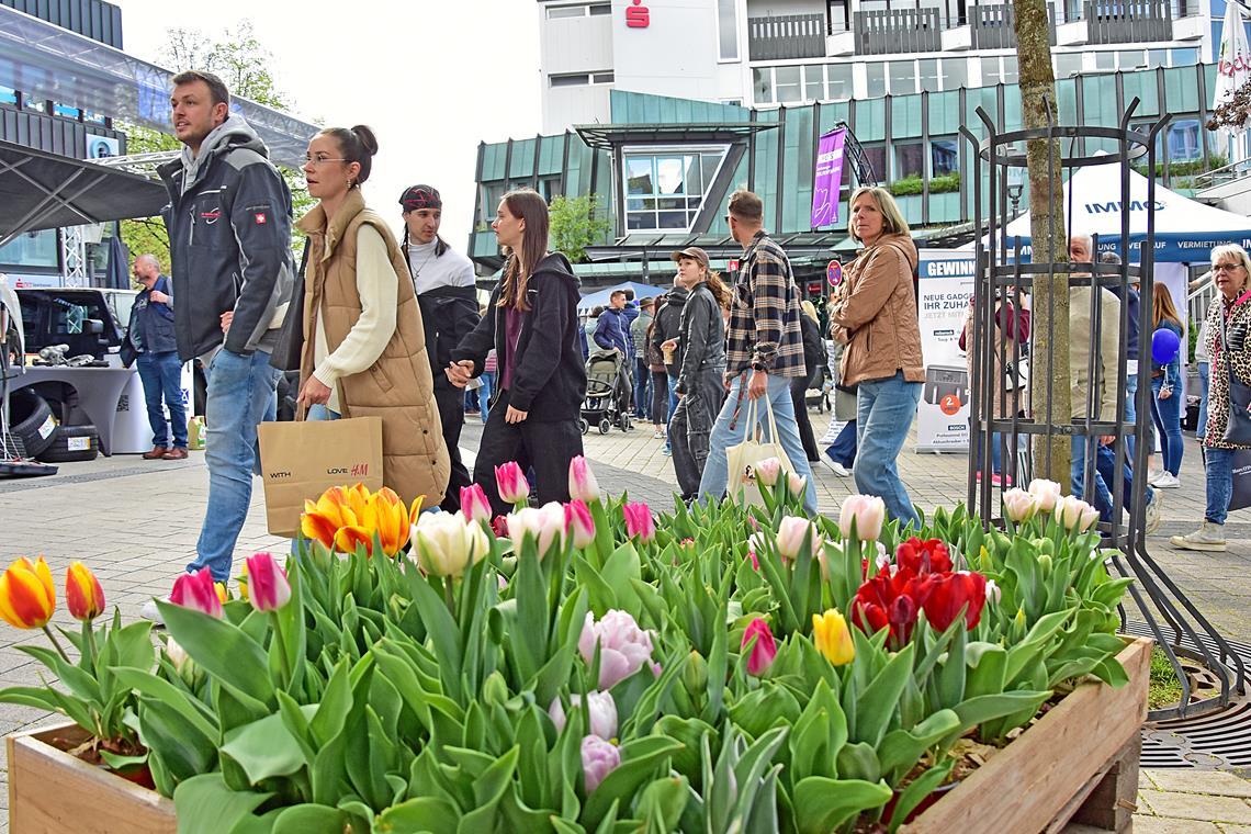 Von 13 bis 18 Uhr warten rund 80 Aussteller, verteilt in der Backnanger Innenstadt, auf die Besucherinnen und Besucher. Fotos: Tobias Sellmaier