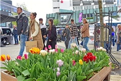 Von 13 bis 18 Uhr warten rund 80 Aussteller, verteilt in der Backnanger Innenstadt, auf die Besucherinnen und Besucher. Fotos: Tobias Sellmaier
