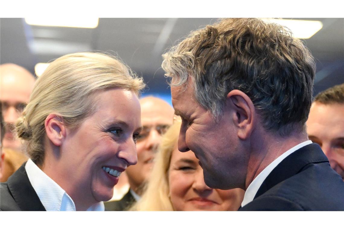 Von den einstigen Flügelkämpfen in der AfD ist heute nicht mehr viel zu spüren. Etliche frühere Führungspersönlichkeiten haben die Partei seither verlassen. (Archivfoto)