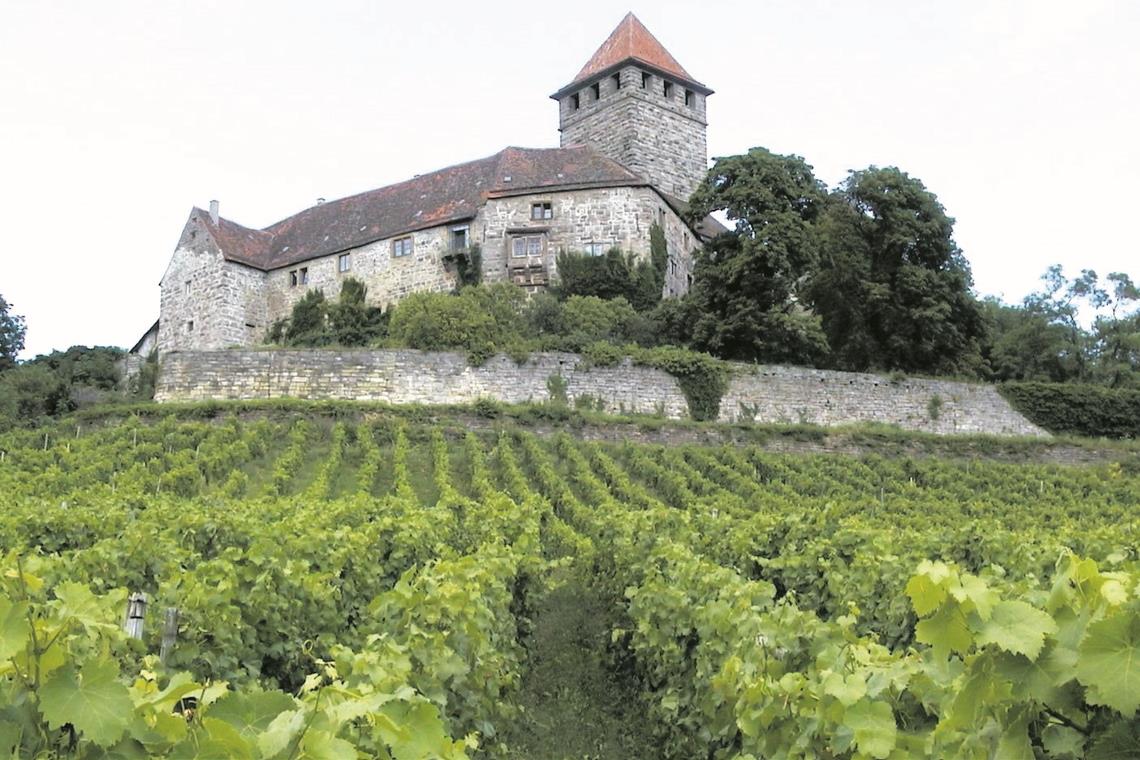 Von der Burg Lichtenberg aus die wunderbare Aussicht genießen: Das soll künftig auch von einem Biergarten aus möglich sein. Foto: privat