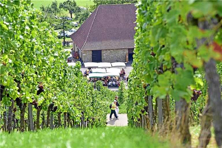 Von der Kelter sind viele Weinfreunde und Naturliebhaber zu den anderen Ständen gewandert. Verdurstet ist niemand. Fotos: Tobias Sellmaier