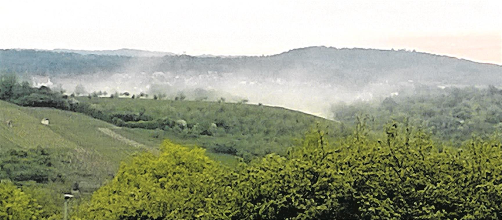 Von Erdmannhausen aus sieht man Rielingshausen im Staub verschwinden. Foto: privat