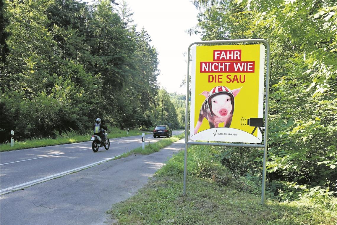 Von Kaisersbach in Richtung Ebnisee: Nach dem Kreisverkehr warnt ein tierischer Blickfang vor Raserei. Fotos: privat