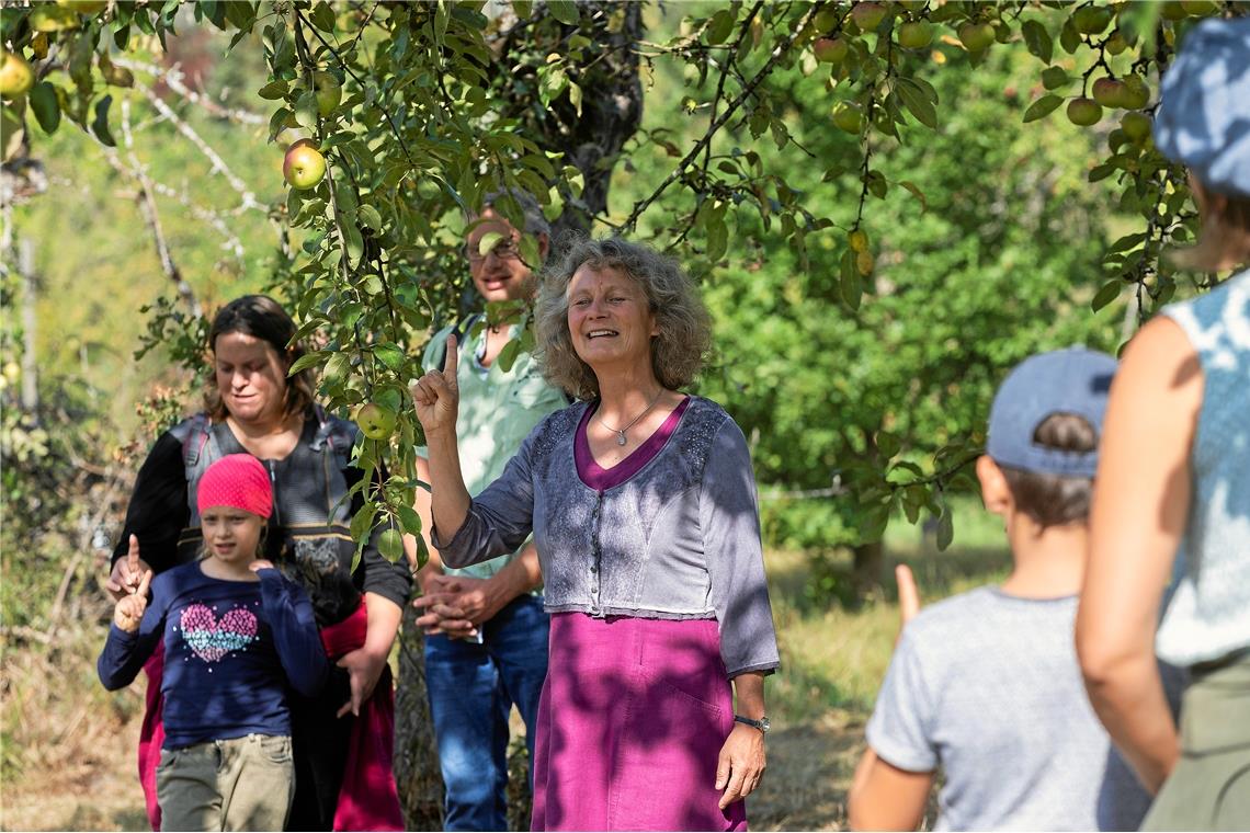    Von Mäusen, Füchsen und Kobolden: Ein Märchenspaziergang für die ganze Famili...