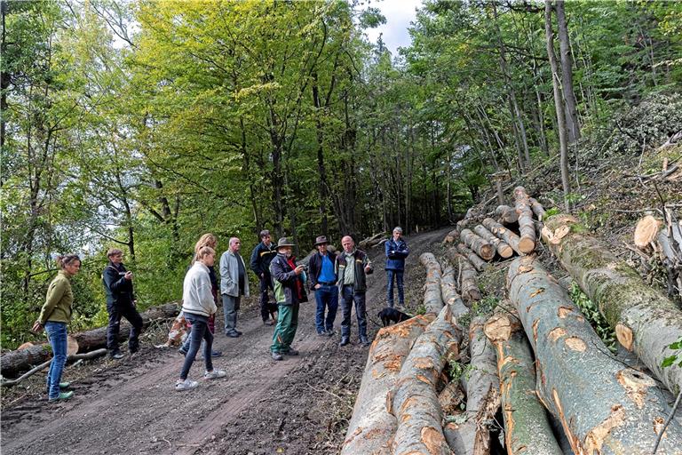 Von „Raubbau mit dem vorhandenen Hochwald“ spricht Gerhard Seiter (vierter von rechts). Forstbezirksleiter Martin Röhrs (zweiter von rechts) erklärt, warum so viele Buchen weichen mussten. Fotos: J. Fiedler