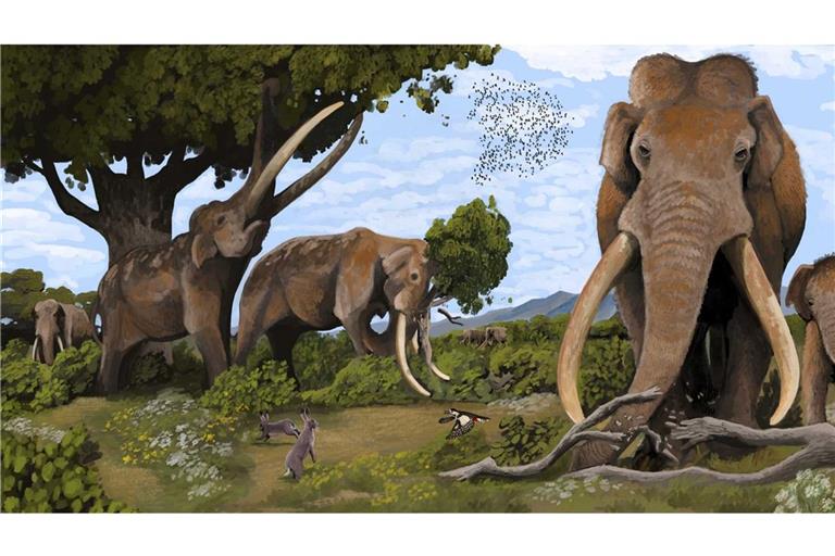 Vor 120.000 Jahren waren Europäische Waldelefanten (Palaeoloxodon antiquus) in Europa verbreitet.