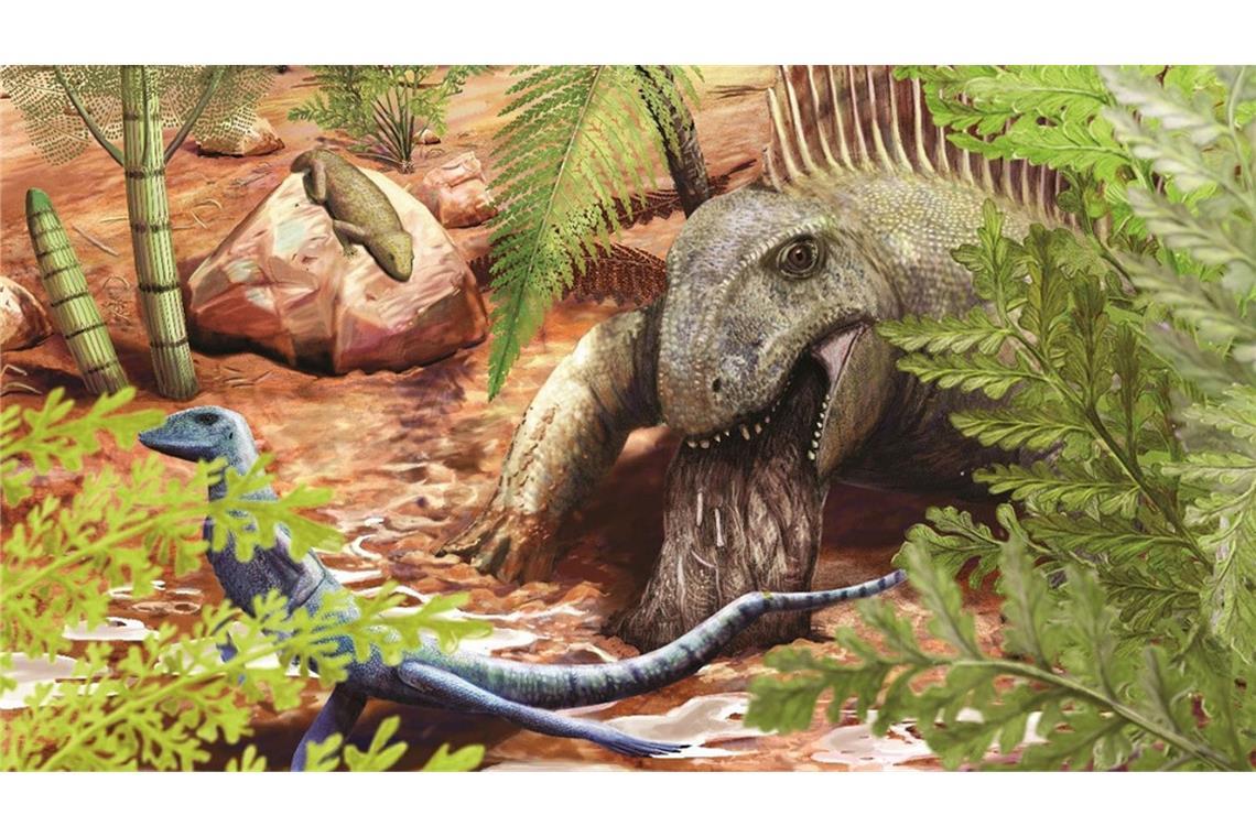 Vor 290 Millionen Jahre würgte ein urzeitliches Raubtier wie der Dimetrodon Reste seiner Beute wieder aus. Sie blieben als Fossil erhalten.