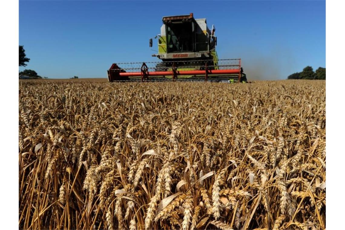 Endspurt in Verhandlungen im EU-Agrarreform Vor allem bei den Umweltvorgaben der Agrarreform gibt es Differenzen. Foto: Carsten Rehder/dpa