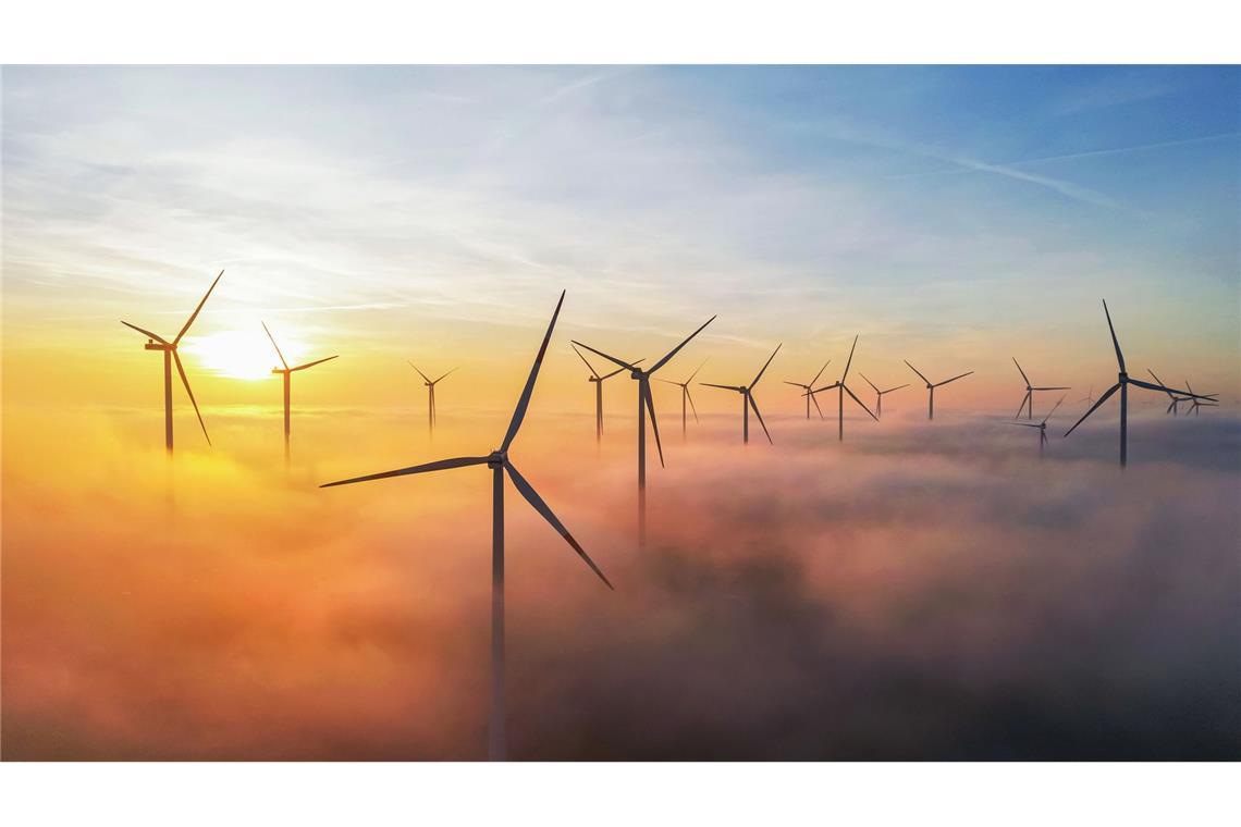 Die Hälfte des EU-Stroms kommt aus Erneuerbaren Vor allem der Ausbau der Windkraft verliere an Tempo, sagen Wissenschaftler.