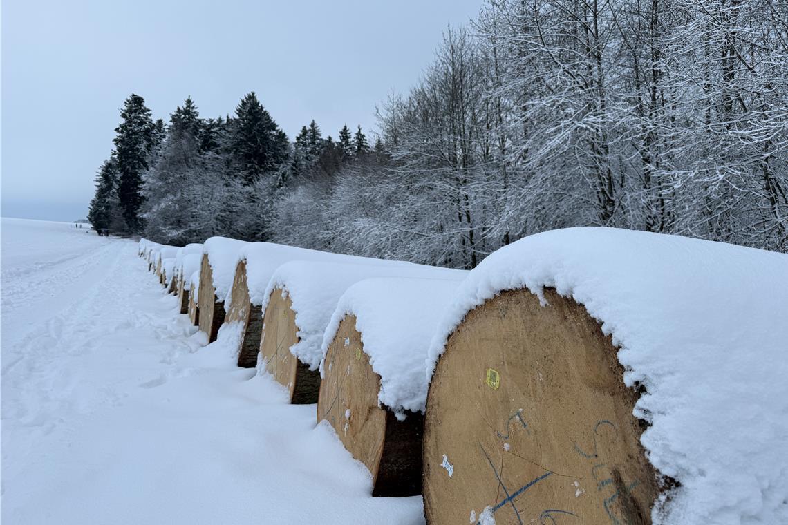 Vor allem in den höheren Lagen, wie in Kaisersbach-Gebenweiler, zieht sich eine Schneedecke über die Felder. Foto: privat
