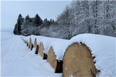 Vor allem in den höheren Lagen, wie in Kaisersbach-Gebenweiler, zieht sich eine Schneedecke über die Felder. Foto: privat