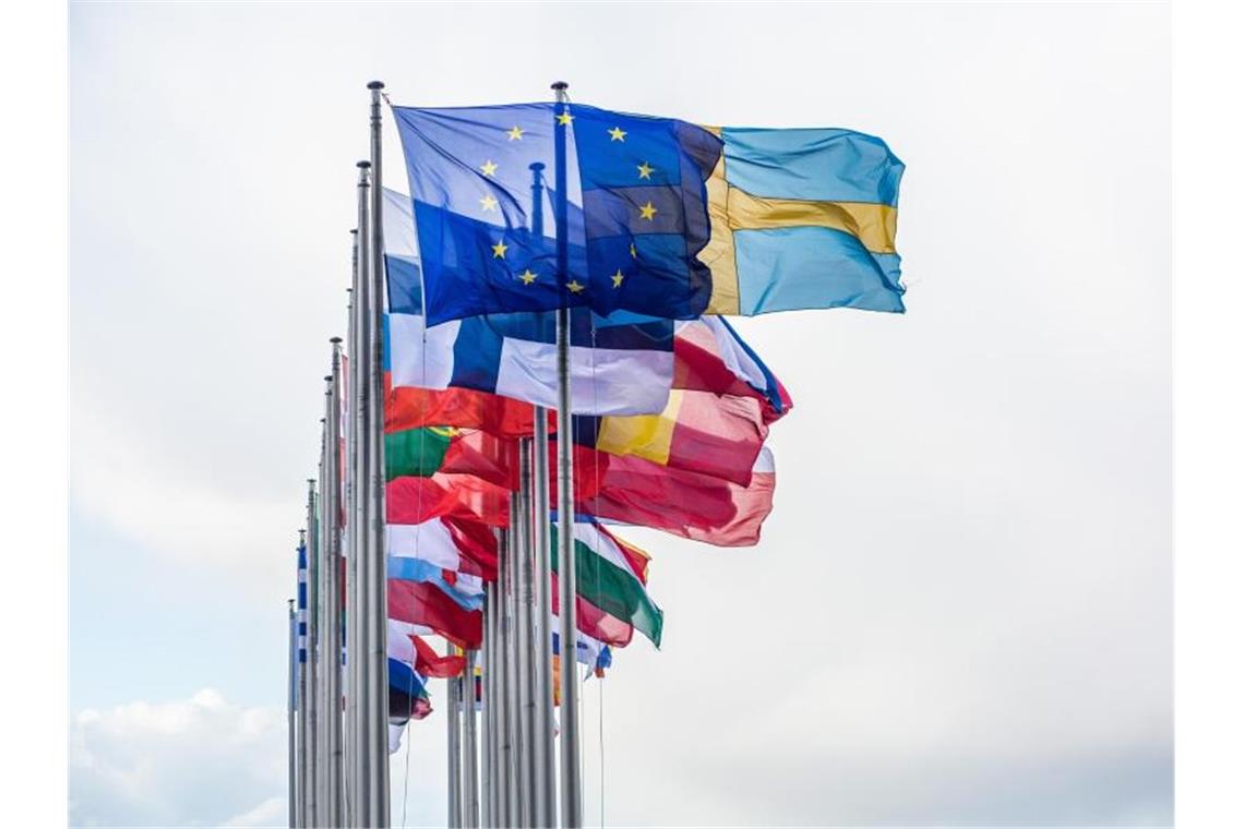 Vor dem Gebäude des Europäischen Parlaments in Straßburg wehen die Flaggen der EU-Mitgliedsstaaten. Foto: Philipp von Ditfurth/dpa