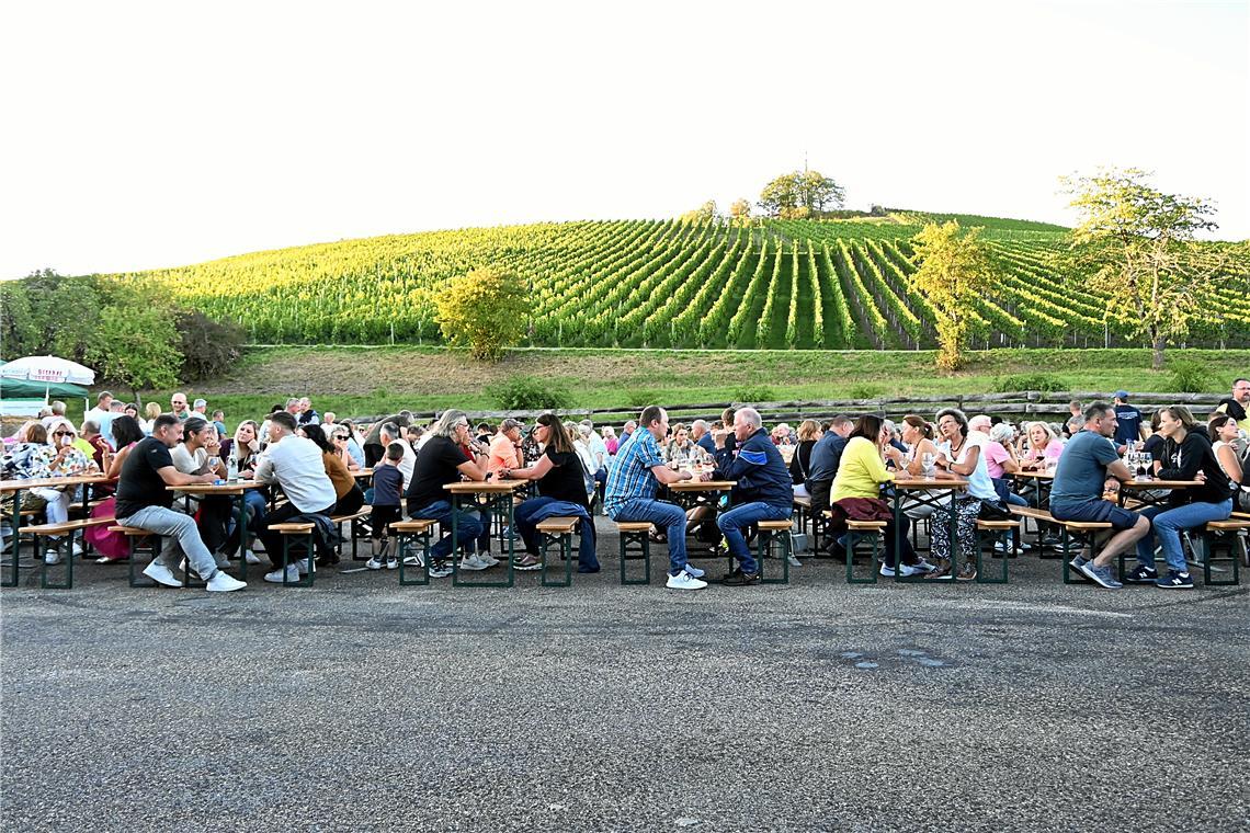 Vor dem Hintergrund der Aspacher Weinberge lassen es sich die Besucher des Weinfestes gutgehen. An beiden Tagen waren die Veranstalter mit dem Zuspruch sehr zufrieden.