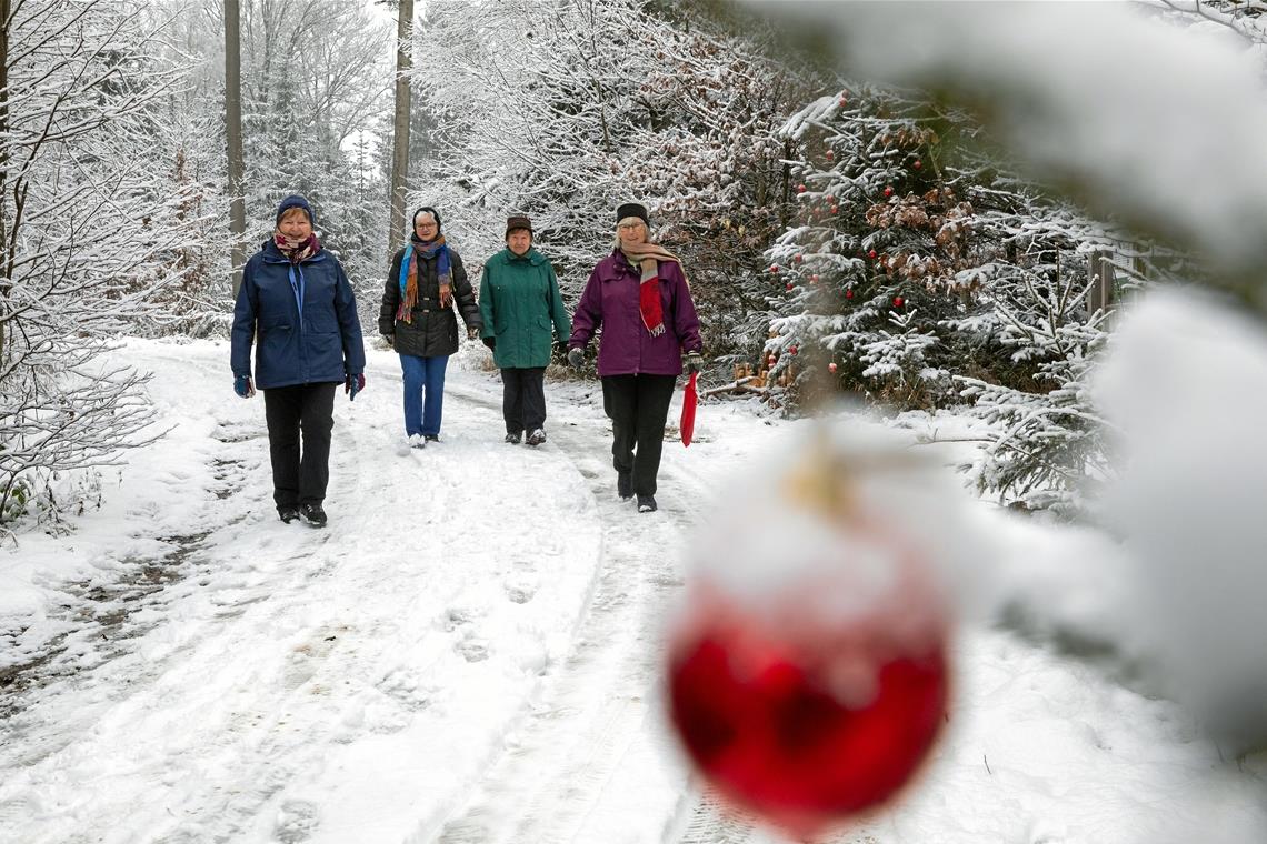 Vor dem Lockdown, zu Beginn des Advents, haben sie einen Weihnachtsbaum im Wald geschmückt (von links): Marianne Kübler, Inge Geiger, Marianne Wizemann und Waltraud Wanke. Fotos: A. Becher