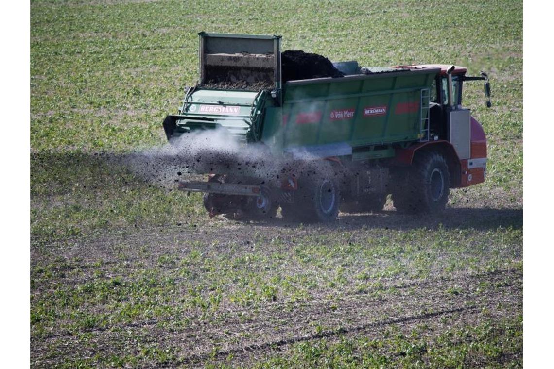 Vor dem Weltbodentag am 5. Dezember schlägt die Umweltorganisation BUND in Mecklenburg-Vorpommern ein Programm für mehr Humus in den Ackerböden vor. Foto: Henning Kaiser/dpa