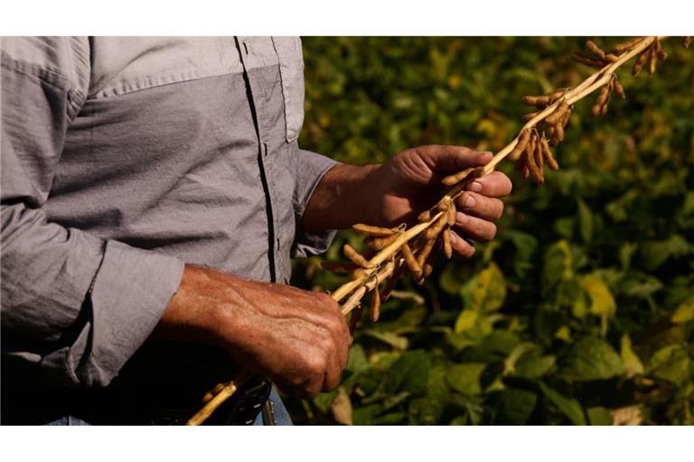 Vor den Zwischenwahlen setzen hohe Kosten für Treibstoff und Düngemittel den US-Landwirten vor den Zwischenwahlen zu.