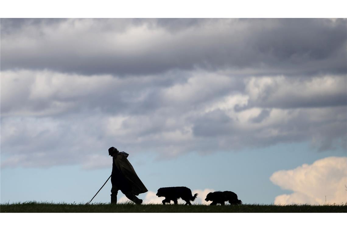 Vor einem malerischen Hintergrund geht ein Schäfer mit seinen Hunden über eine Wiese in Baden-Württemberg.