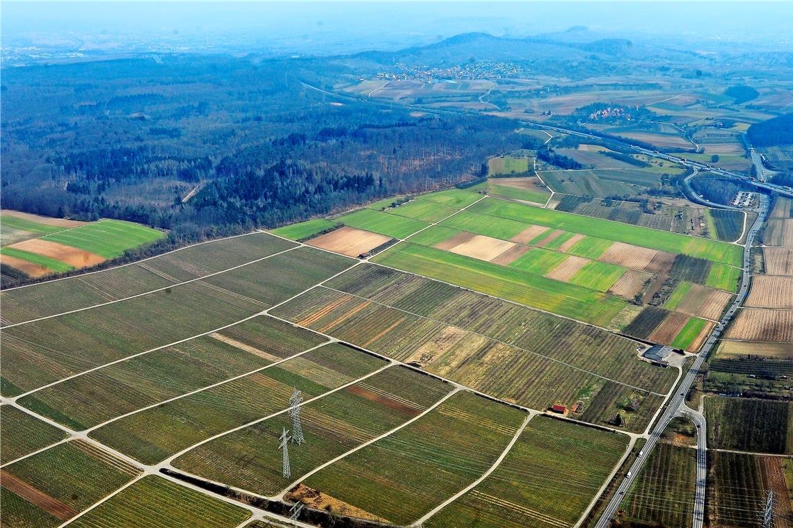 Vor einigen Jahren wurde schon einmal über ein Industriegebiet bei Mundelsheim diskutiert. Foto: W. Kuhnle