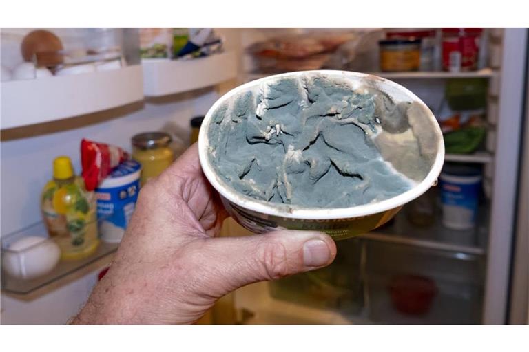 Vorsicht toxisch! Dieser verschimmelte Frischkäse aus dem Kühlschrank sollte sofort entsorgt werden.