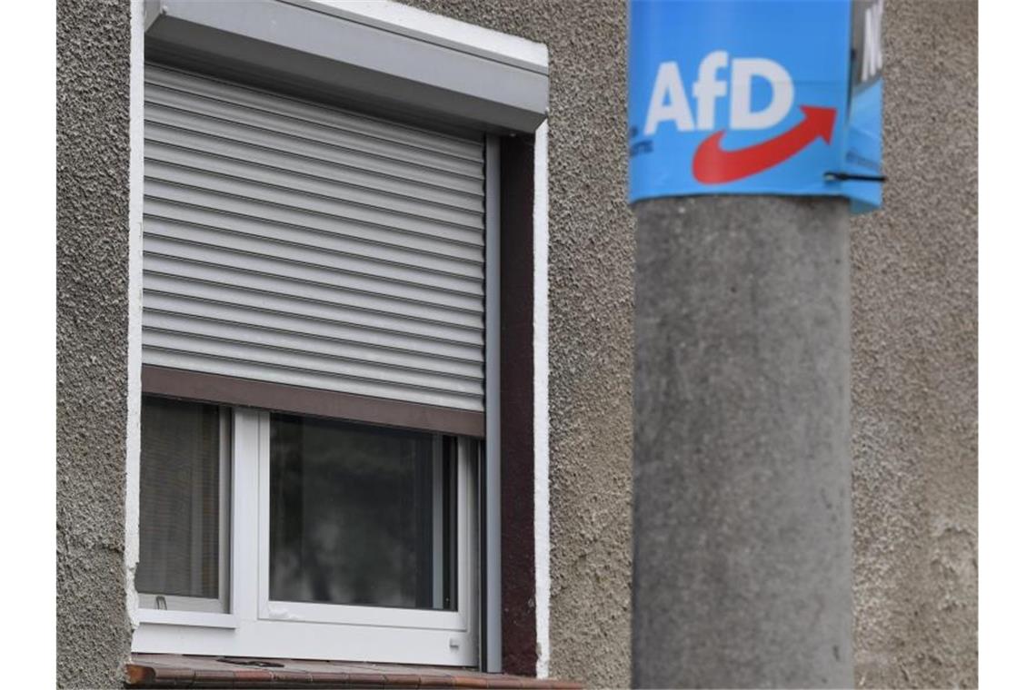 Wahlplakat der AfD im brandenburgischen Hirschfeld. Foto: Patrick Pleul