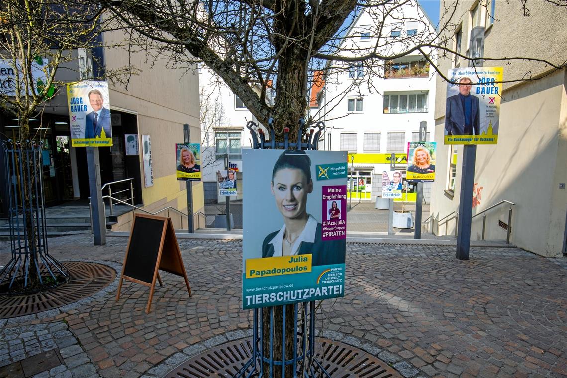 Wahlplakate allerorten. Nicht alle überdauern den Wahlkampf unbeschädigt. Foto: A. Becher