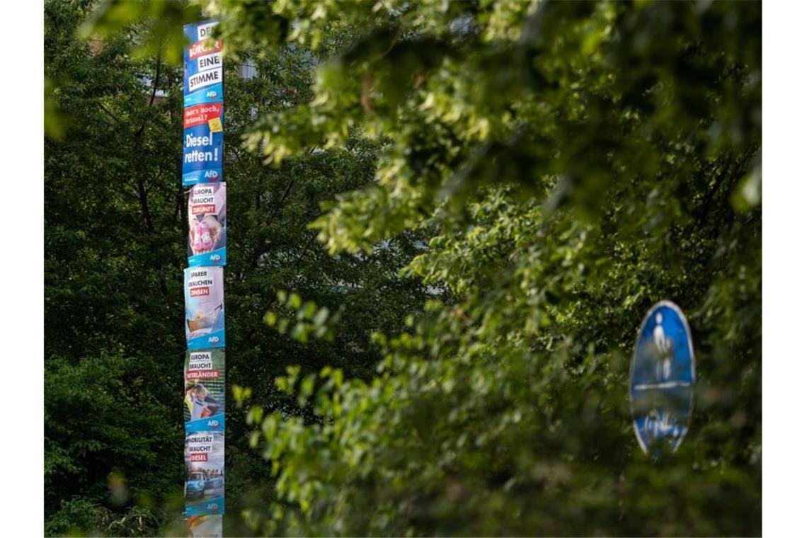 Wahlplakate der AfD zu den Europa- und Kommunalwahlen in Sachsen stapeln sich übereinander an einer Laterne. Foto: Robert Michael